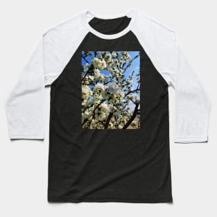 Apple Blossoms Baseball T-Shirt